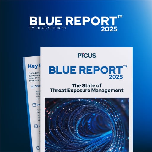 Έκθεση Picus Blue 2025
