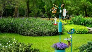 Bird Buddy Hummingbird Feeder Pro Review