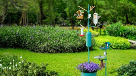 Bird Buddy Hummingbird Feeder Pro Review