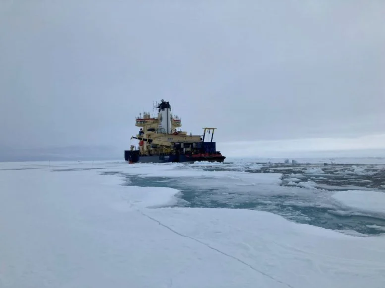 Expedition Ship IB Oden
