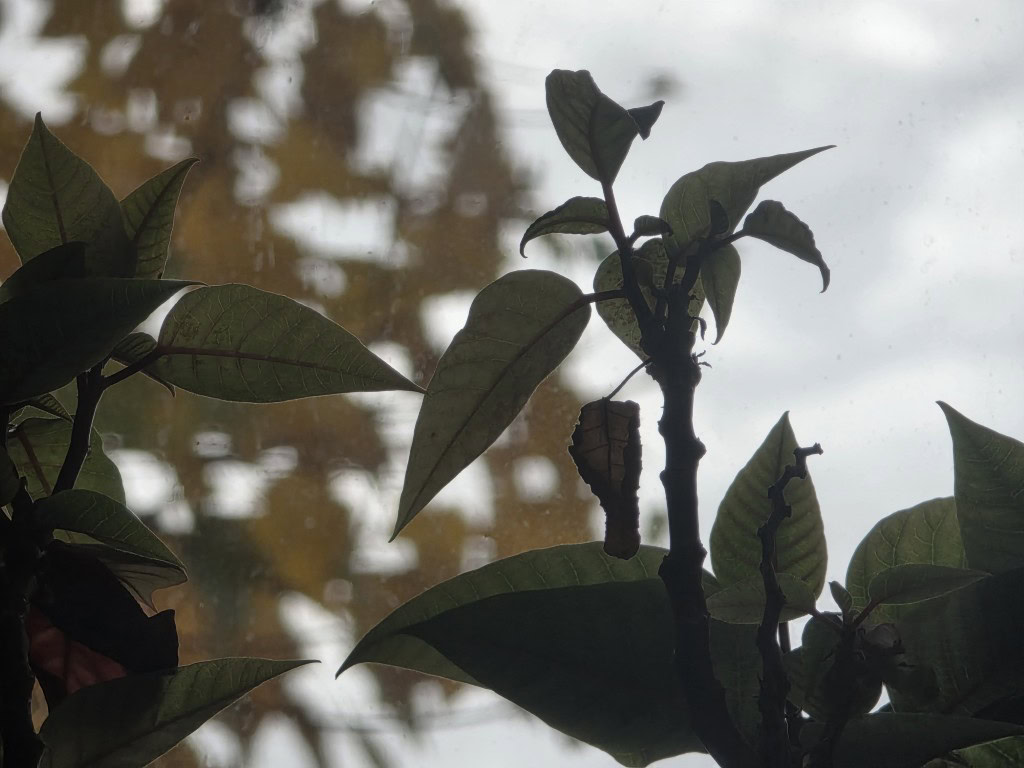 Το Galaxy S25 Ultra αφήνει φθηνό προστατευτικό φακού