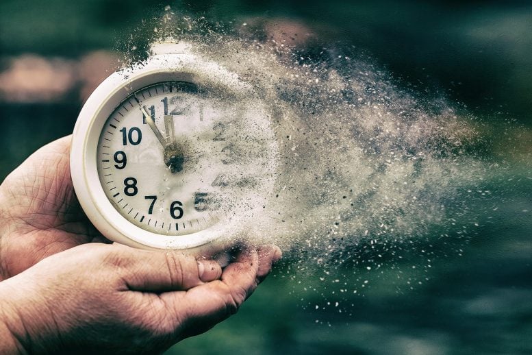 «Μόρια μυστηρίου» που βρέθηκαν σε σκύλους θα μπορούσαν να βοηθήσουν τους ανθρώπους να ζήσουν περισσότερο και πιο υγιείς