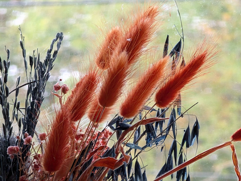 Λουλούδι κάμερας Pixel 9 Pro XL χωρίς προστατευτικό φακού