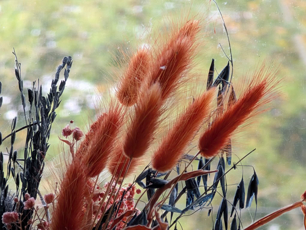 Προστατευτικό φακού λουλουδιών κάμερας Pixel 9 Pro XL