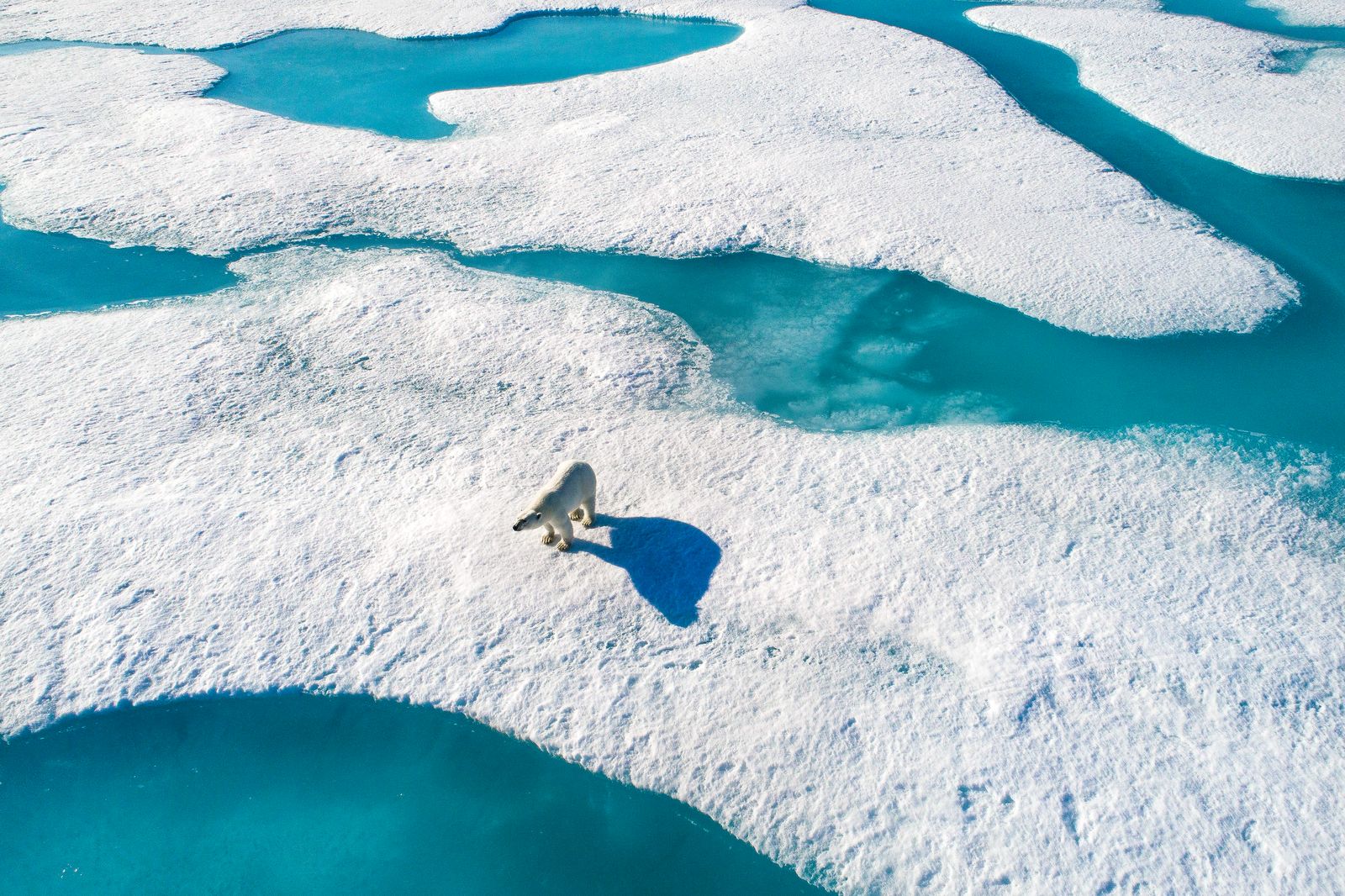 Viasat Nature Arctic 030 002 004