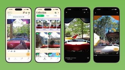 bird buddy app