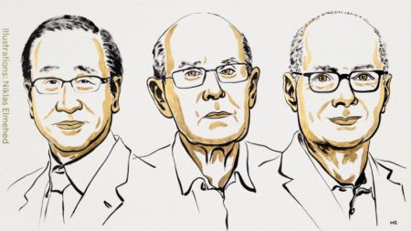 Στους Σουσούμου Κιταγκάουα, Ρίτσαρντ Ρόμπσον και Όμαρ Γιάγκι το φετινό Νόμπελ Χημείας