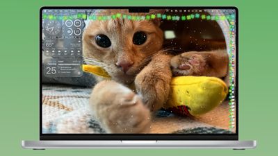 εφαρμογή festivitas