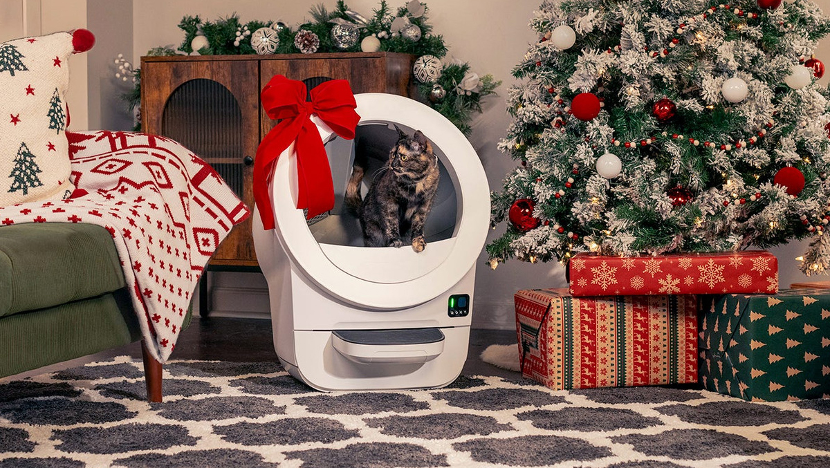 Οι καλύτερες προσφορές Apple Black Friday – AirPods, MacBook, iPhone, περισσότερα 9to5Mac Οι καλύτερες προσφορές Apple Black Friday – AirPods, MacBook, iPhone, περισσότερα 9to5Mac