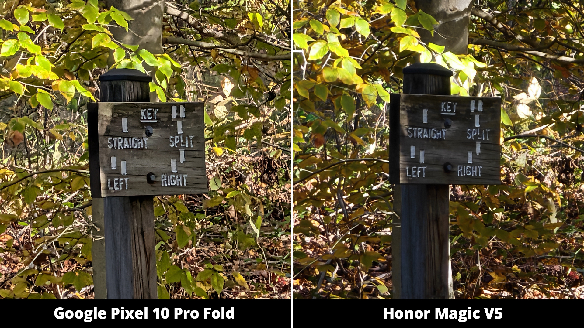 Συγκρίσεις κάμερας Google Pixel 10 Pro Fold με Honor Magic V5