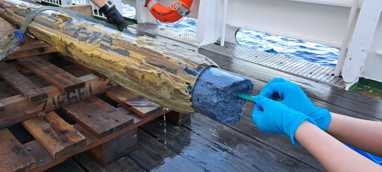 Βιολόγοι ανακαλύπτουν τη ζωή σε ένα από τα πιο εχθρικά μέρη της Γης