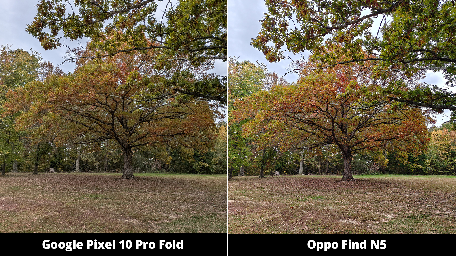 Σύγκριση κάμερας Google Pixel 10 Pro Fold με Oppo Find N5