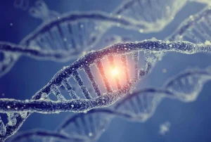 Η εξέλιξη δεν είναι ουδέτερη: Η νέα μελέτη προκαλεί 60ετή θεωρία βιολογίας