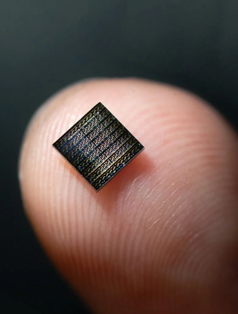 Νέοι τεχνητοί νευρώνες αναπαράγουν σωματικά τον εγκέφαλο