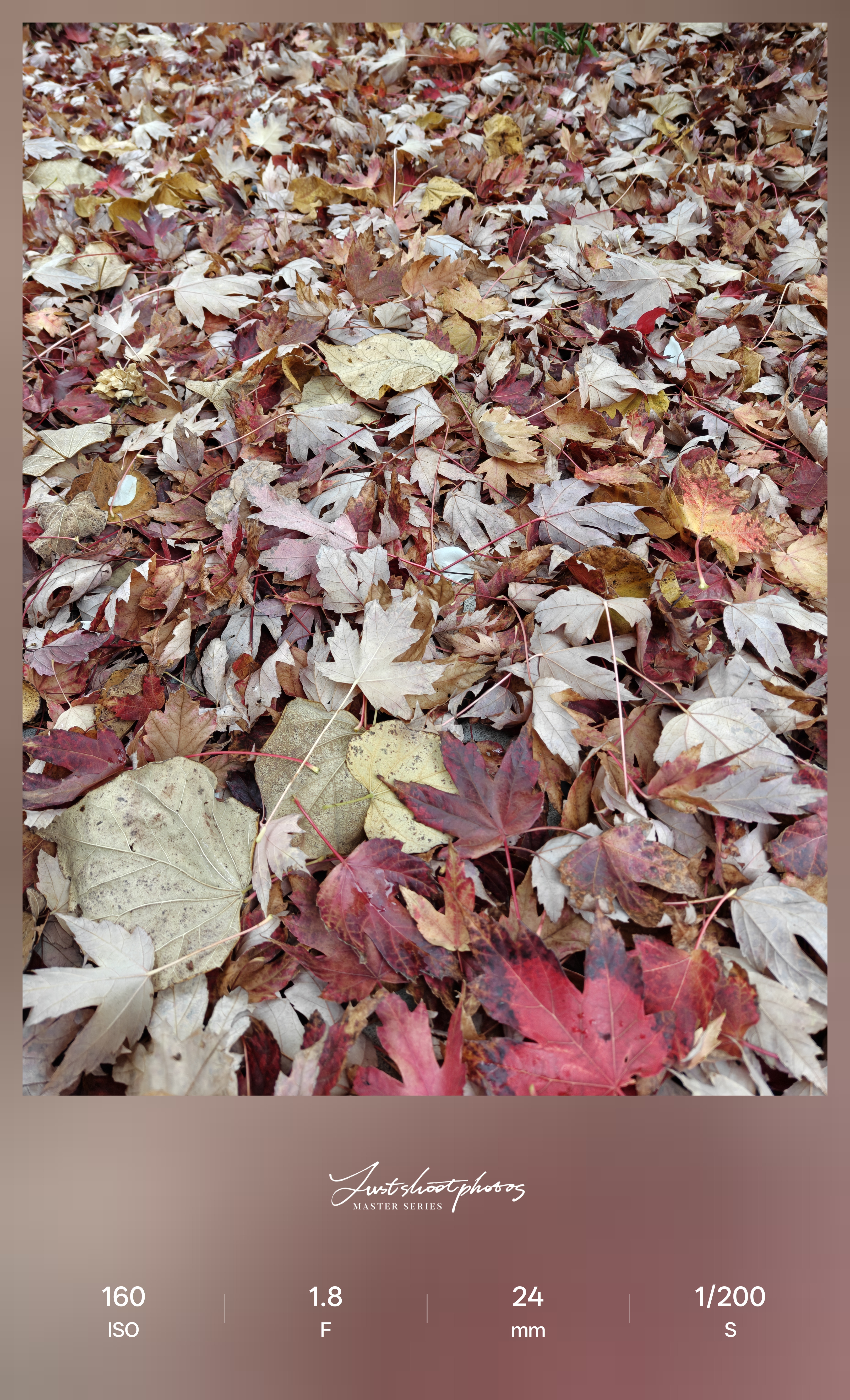 Δοκιμή κάμερας OnePlus 15 στο Android Central