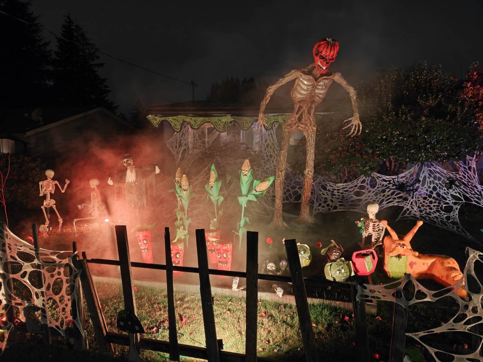 OnePlus 15 Camera Samples