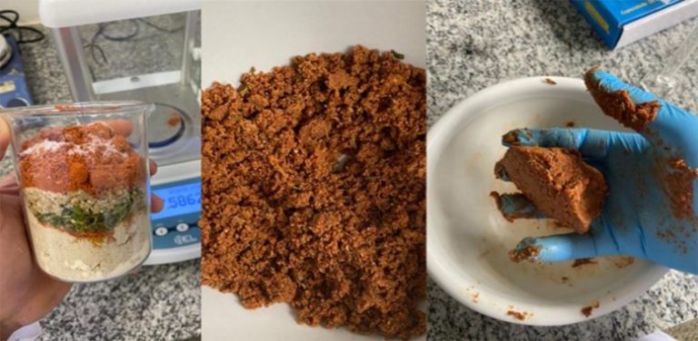 Αυτή η πρωτεΐνη με βάση τον ηλίανθο θα μπορούσε να είναι το μέλλον των εναλλακτικών κρεάτων Vegan