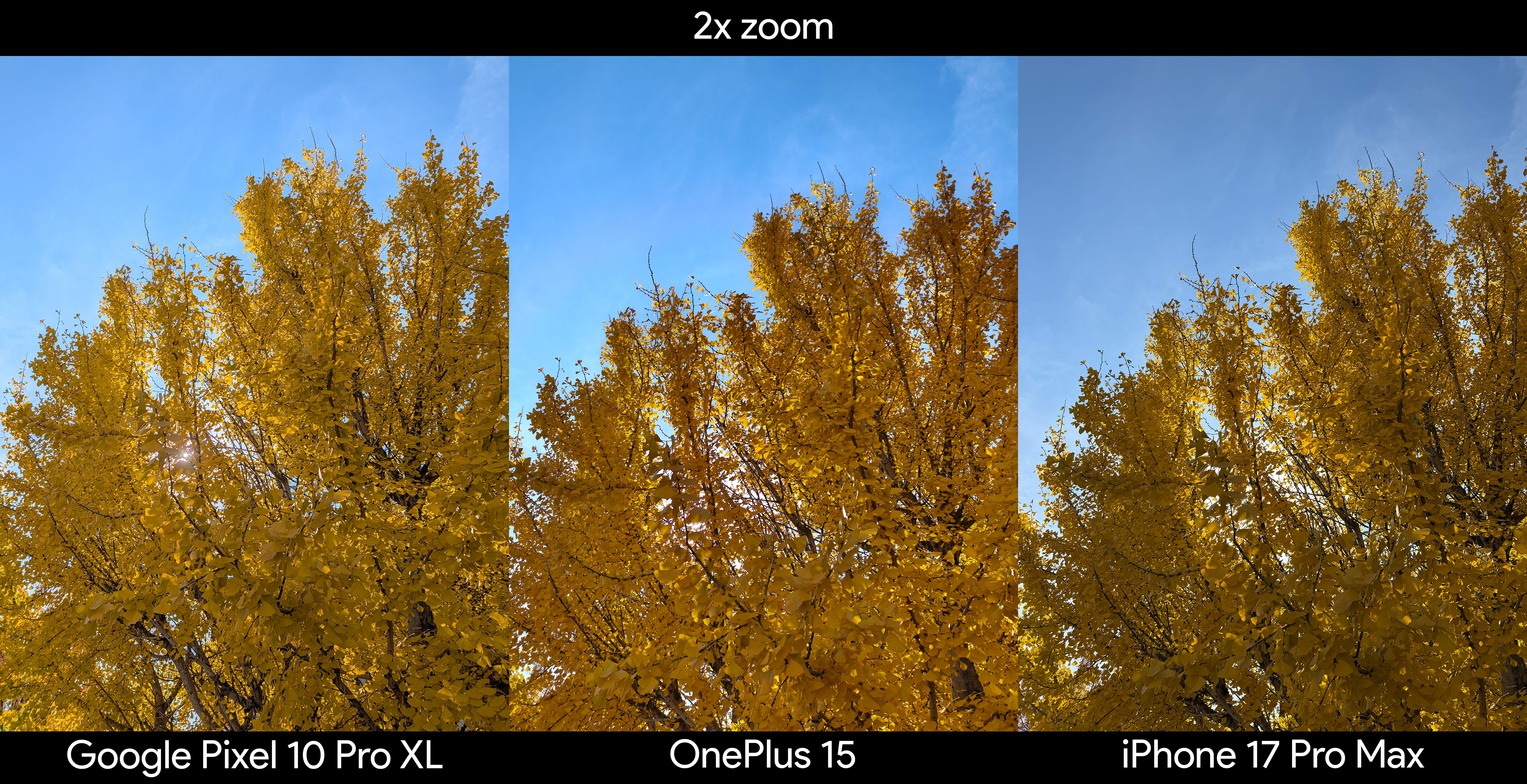 Camera samples from the OnePlus 15 showing 2x zoom HDR quality
