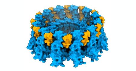 «Ανακάλυψε τη μυστική πρωτεΐνη που заставляет τα κύτταρά σου να απολαμβάνουν το... λίπος!»
