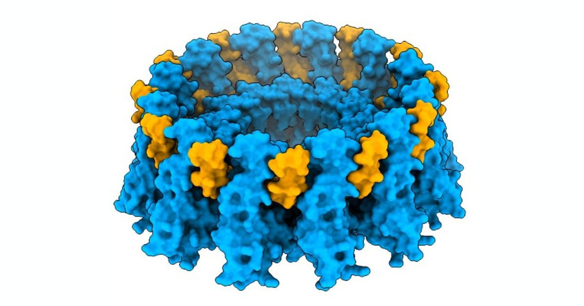 «Ανακάλυψε τη μυστική πρωτεΐνη που заставляет τα κύτταρά σου να απολαμβάνουν το… λίπος!» «Ανακάλυψε τη μυστική πρωτεΐνη που заставляет τα κύτταρά σου να απολαμβάνουν το... λίπος!»