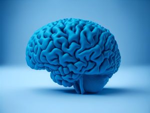 Ανακαλύψτε το Μυστικό: Πώς ο Εγκέφαλός μας Επιλέγει τα Θεωρούμενα Σημαντικά Θυμήματα! Ανακαλύψτε το Μυστικό: Πώς ο Εγκέφαλός μας Επιλέγει τα Θεωρούμενα Σημαντικά Θυμήματα!