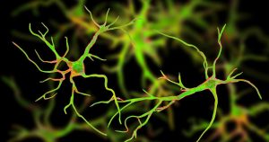 «Ανατρεπτικές Νανοΐνες Αποκαλύπτουν Τι Πραγματικά Κρύβουν Τα Αστροκύτταρα Στον Ανθρώπινο Εγκέφαλο!» «Ανατρεπτικές Νανοΐνες Αποκαλύπτουν Τι Πραγματικά Κρύβουν Τα Αστροκύτταρα Στον Ανθρώπινο Εγκέφαλο!»