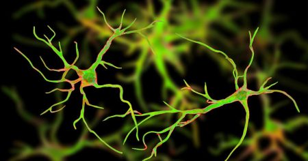 «Ανατρεπτικές Νανοΐνες Αποκαλύπτουν Τι Πραγματικά Κρύβουν Τα Αστροκύτταρα Στον Ανθρώπινο Εγκέφαλο!»