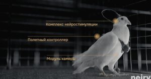 «Σοκ! Ρωσία Δοκιμάζει Εγκεφαλικά Εμφυτεύματα για ιπτάμενη Επιτήρηση – Τι Σκοπεύουν Να Κάνουν;» «Σοκ! Ρωσία Δοκιμάζει Εγκεφαλικά Εμφυτεύματα για ιπτάμενη Επιτήρηση - Τι Σκοπεύουν Να Κάνουν;»