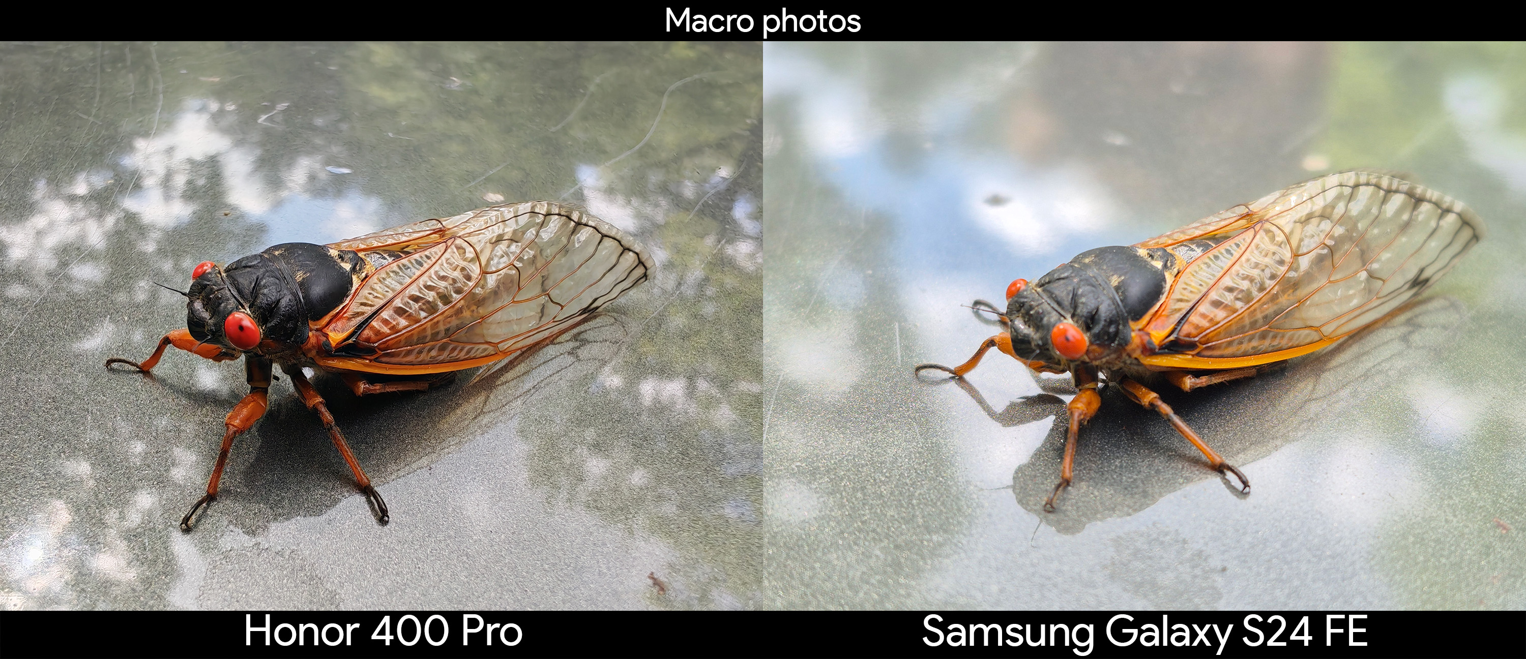 Σύγκριση δειγμάτων κάμερας υπερευρείας μεταξύ του Honor 400 Pro και του Samsung Galaxy S24 FE