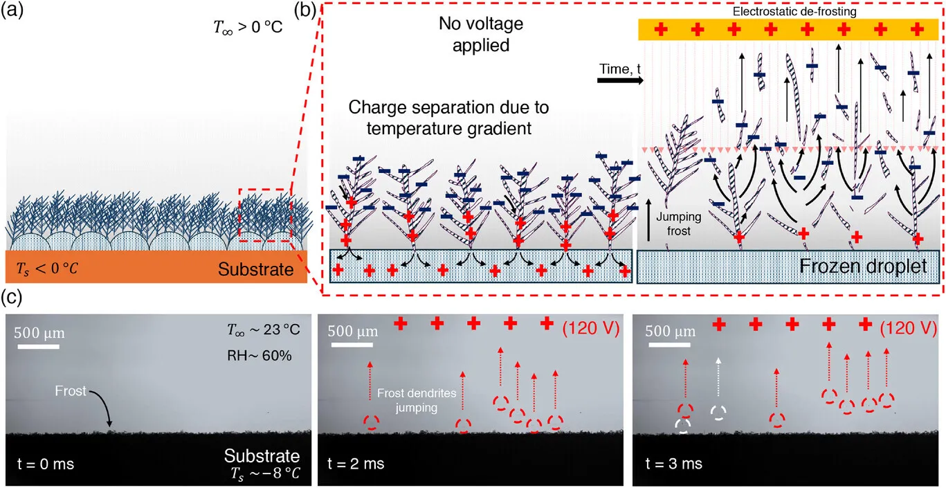 ένα γράφημα που δείχνει την αποπάγωση