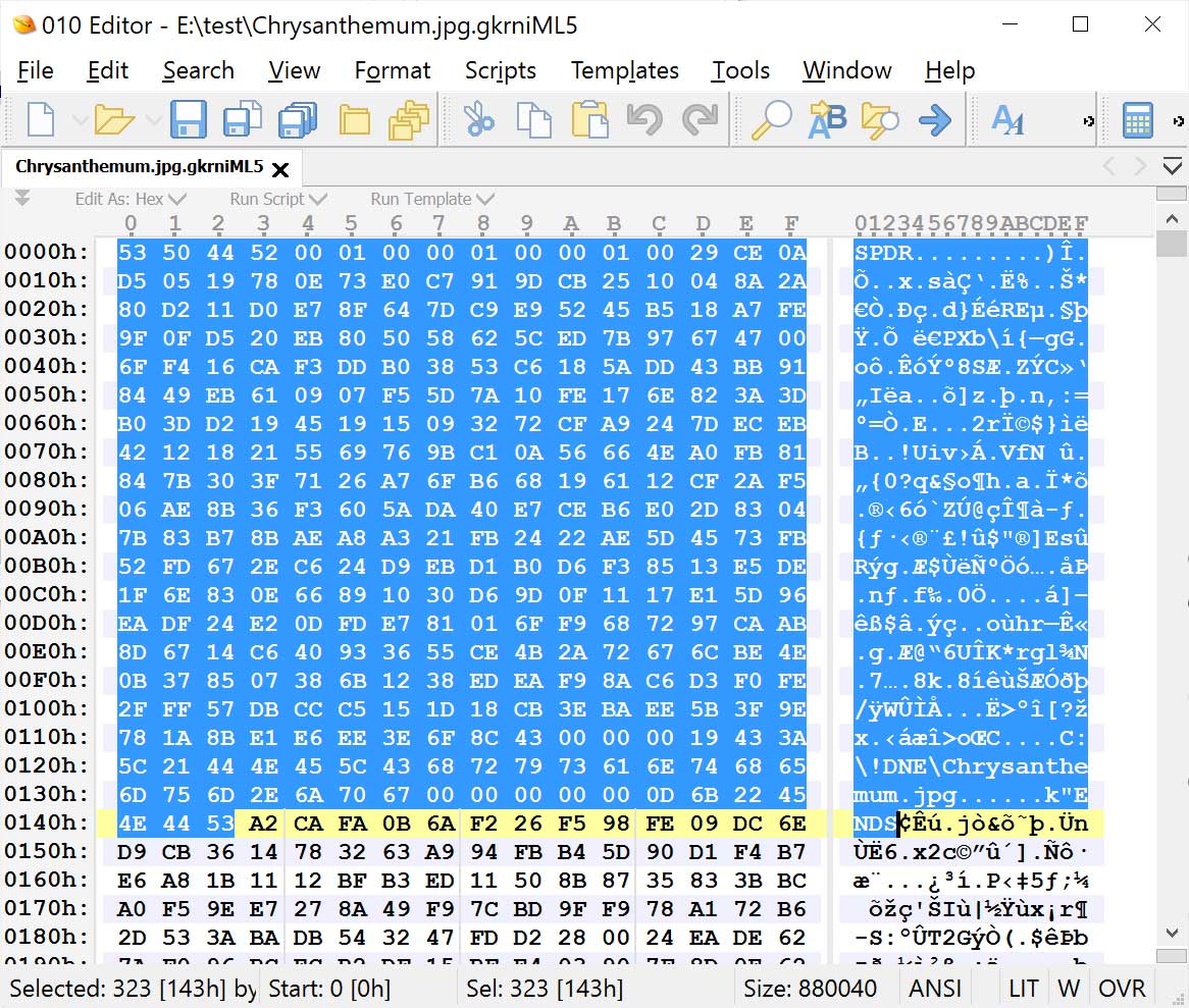 Αρχεία κρυπτογραφημένα από ShinySp1d3r ransomware