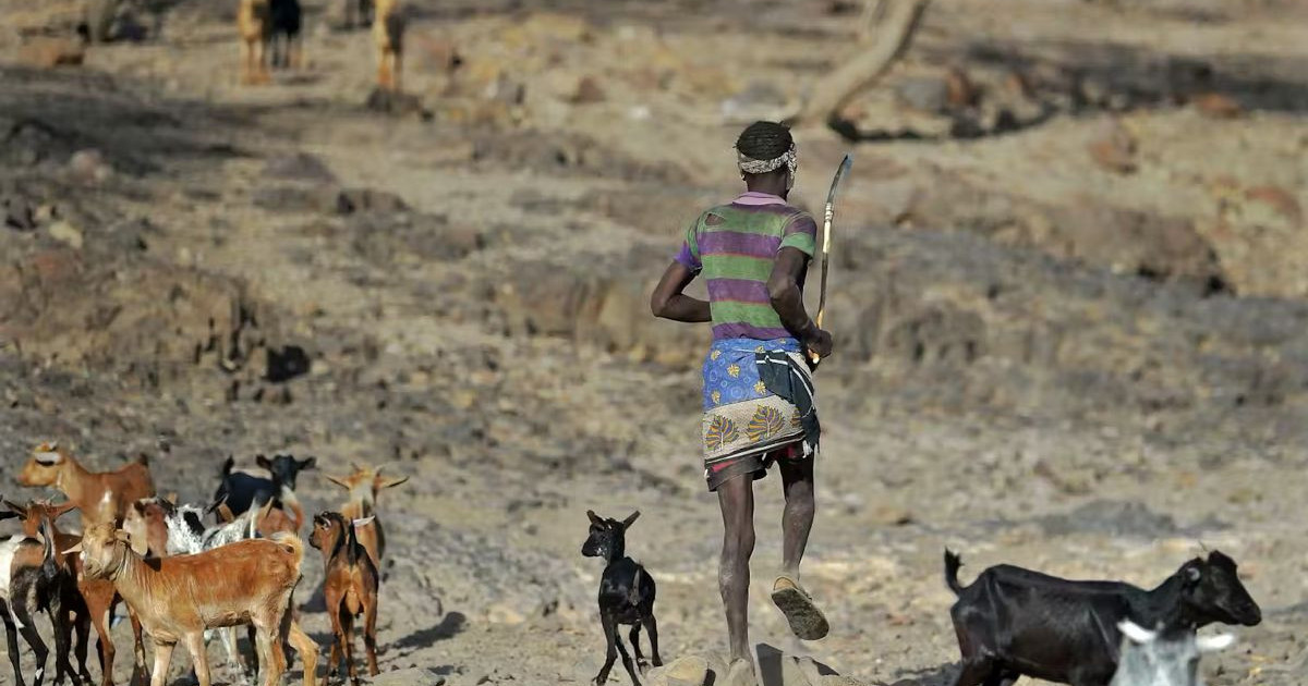 «Απίστευτο! Ο άνθρωπος συνεχίζει να εξελίσσεται – Δες πώς το βιώνουμε καθημερινά!» «Απίστευτο! Ο άνθρωπος συνεχίζει να εξελίσσεται – Δες πώς το βιώνουμε καθημερινά!»