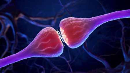 Οι επιστήμονες ανακάλυψαν τη σύνδεση νευρώνων που μπορεί να μεταδώσει τη νόσο του Αλτσχάιμερ