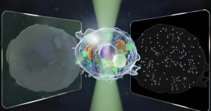 «Ανακαλύψτε το Νέο Μικροσκόπιο που Θα Επαναστατήσει τη Μελέτη των Ζωντανών Κυττάρων!»