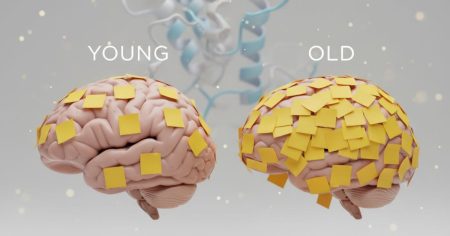 «Ανακάλυψε Πώς η Γήρανση Καταστρέφει τις Πρωτεΐνες του Εγκεφάλου σου - Ο Ρόλος της Διατροφής Θα σε Σοκάρει!»