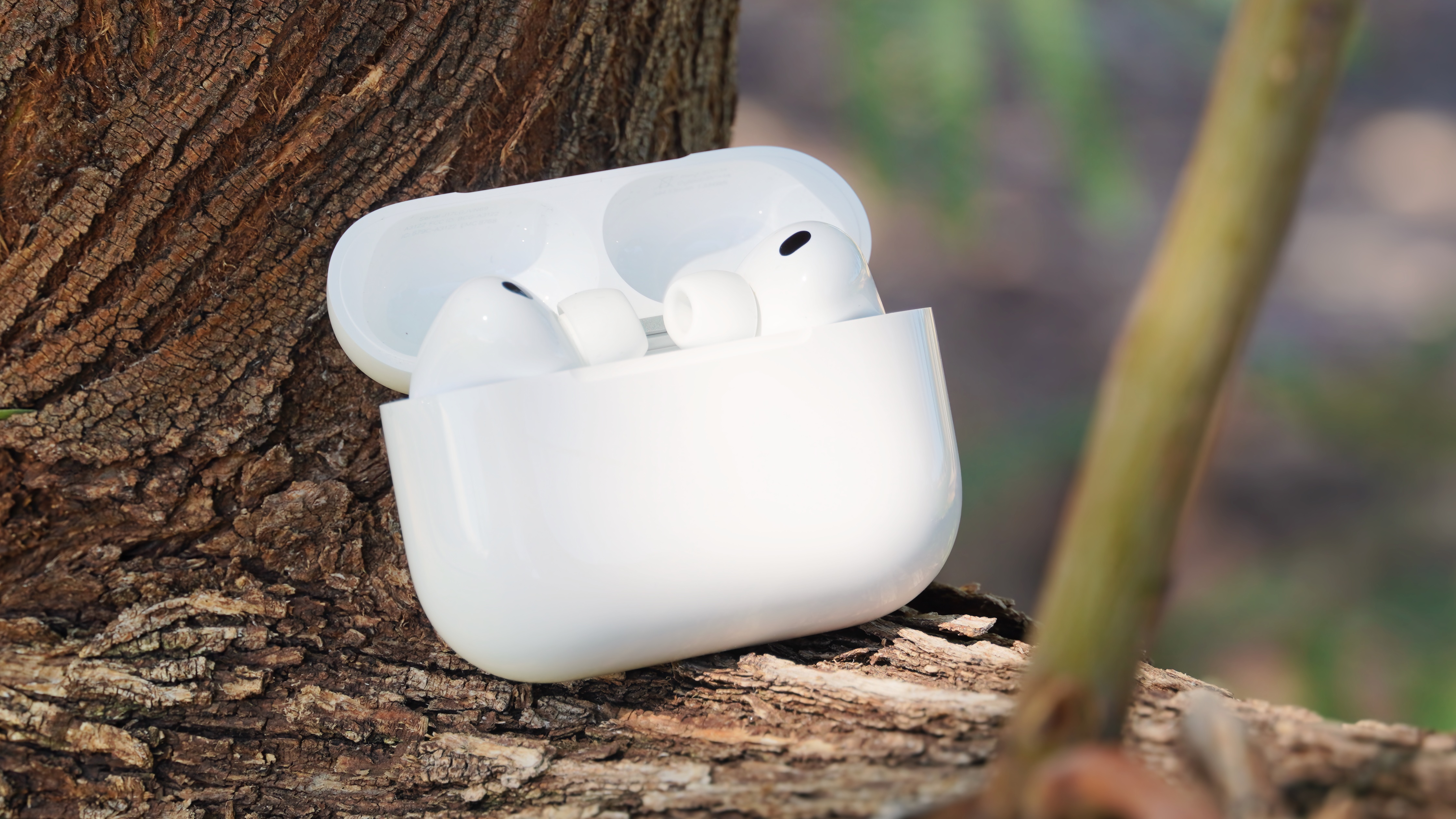 The AirPods Pro 3 with their charging case at a park.