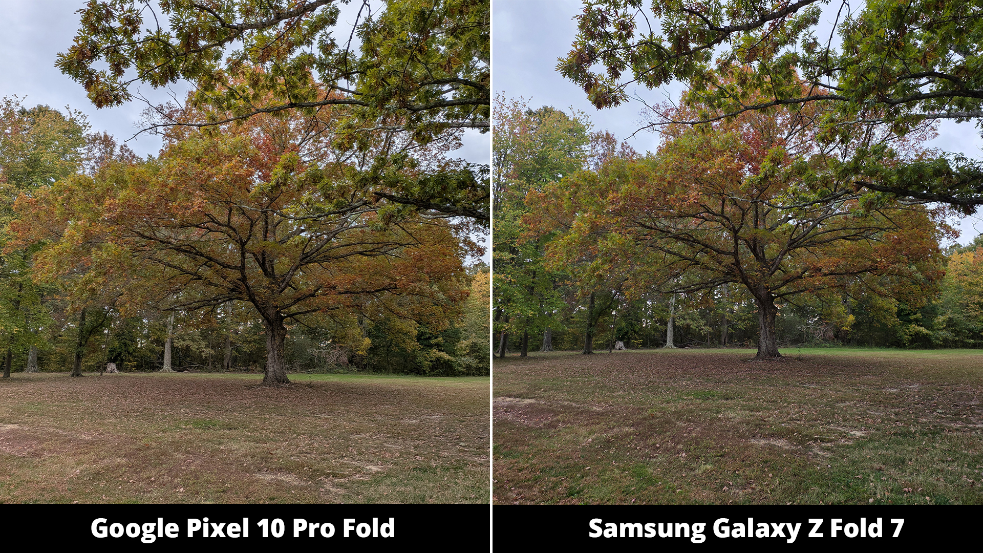 Συγκρίσεις κάμερας Google Pixel 10 Pro Fold με Galaxy Z Fold 7