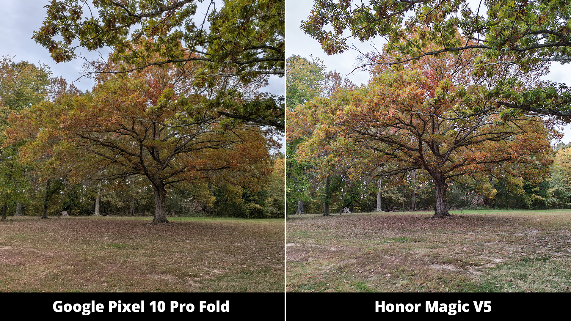 Συγκρίσεις κάμερας Google Pixel 10 Pro Fold με Honor Magic V5