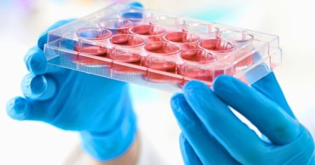 «Ανακάλυψη που Τρέλανε τους Επιστήμονες: Πώς Επαναστατούν Γερασμένα Βλαστοκύτταρα σε Ποντίκια!»