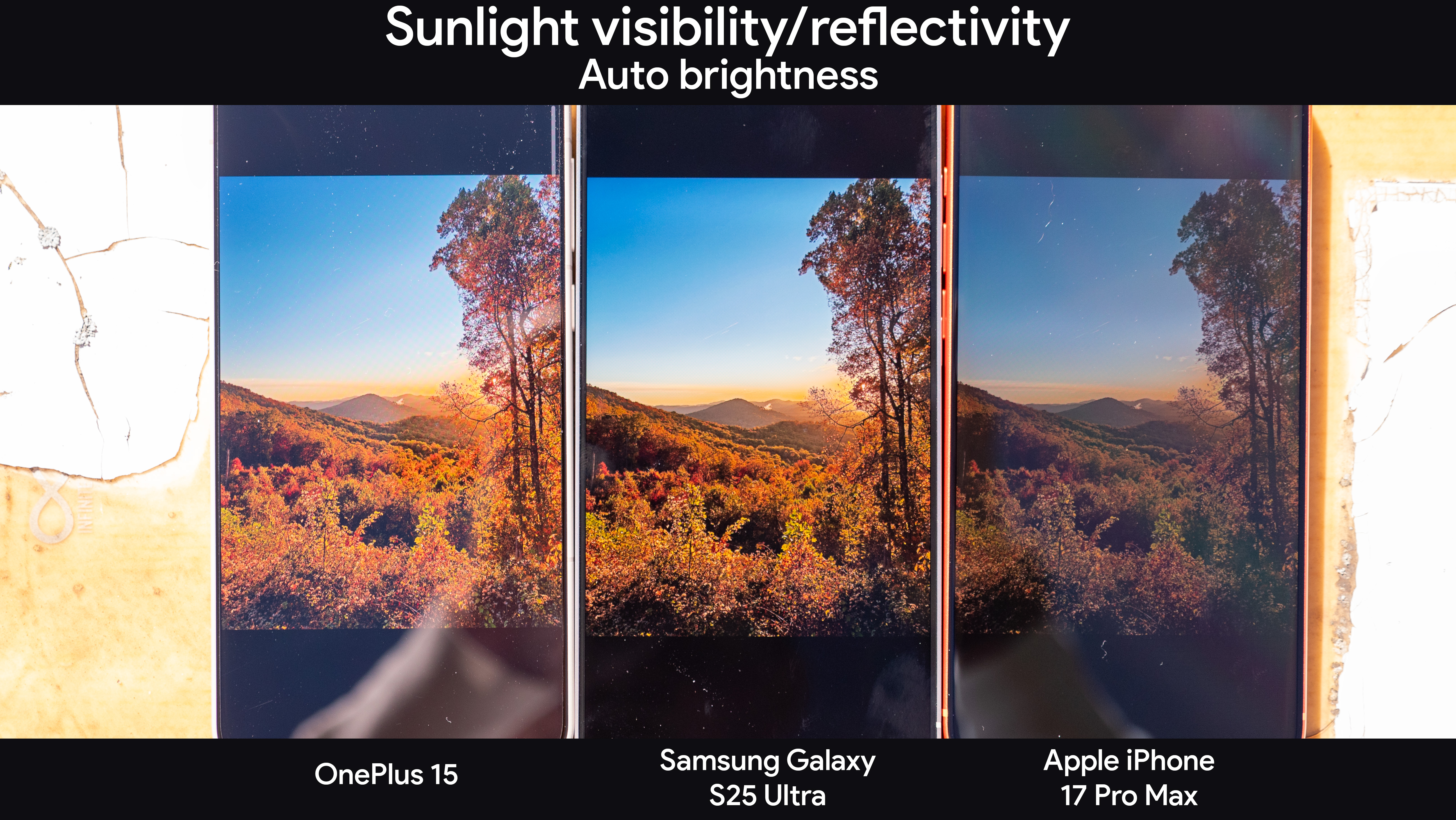 Comparing sunlight visibility with an image of a golden autumn mountain on a OnePlus 15, Samsung Galaxy S25 Ultra, and an Apple iPhone 17 Pro Max