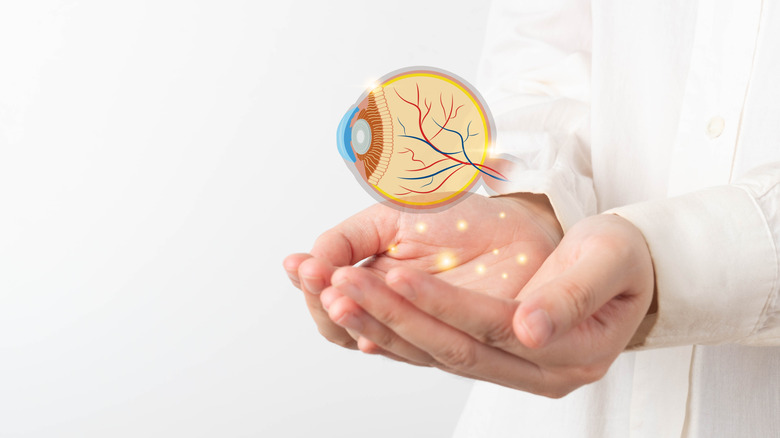 Οπτική αναπαράσταση και ανατομία του ανθρώπινου ματιού.