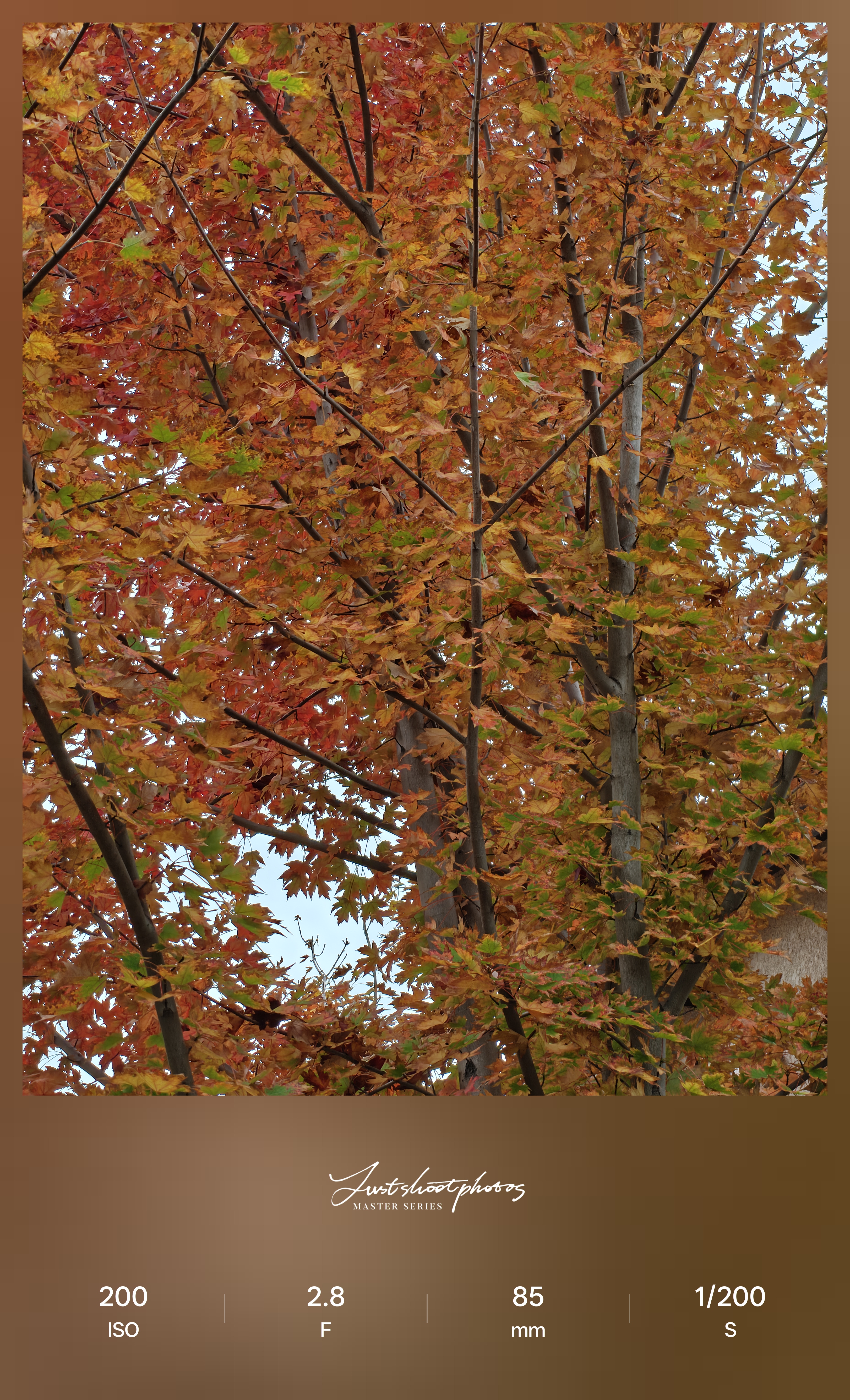 Δοκιμή κάμερας OnePlus 15