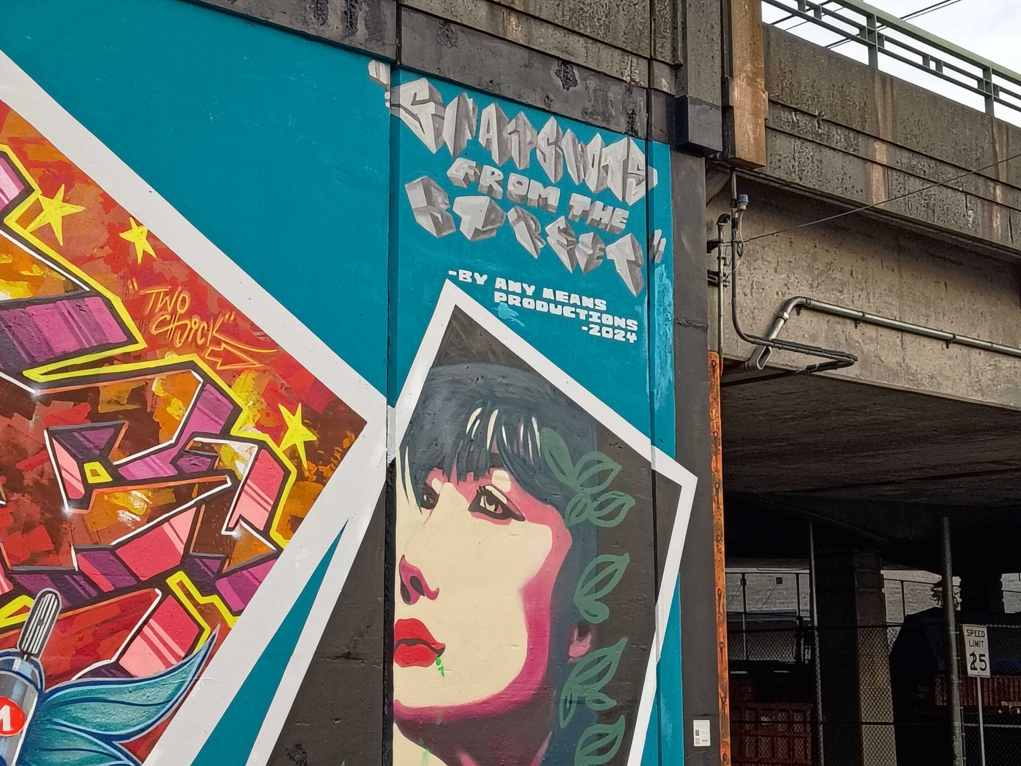 Έργα τέχνης σε μια υπερυψωμένη διάβαση