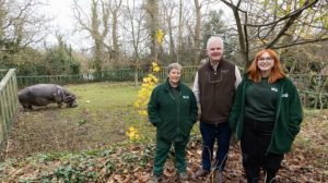 «Σοκαριστικές εξελίξεις: Πρώτη φορά στην ιστορία, ιπποπόταμος υποβάλλεται σε χειρουργείο καταρράκτη στο Δουβλίνο!»