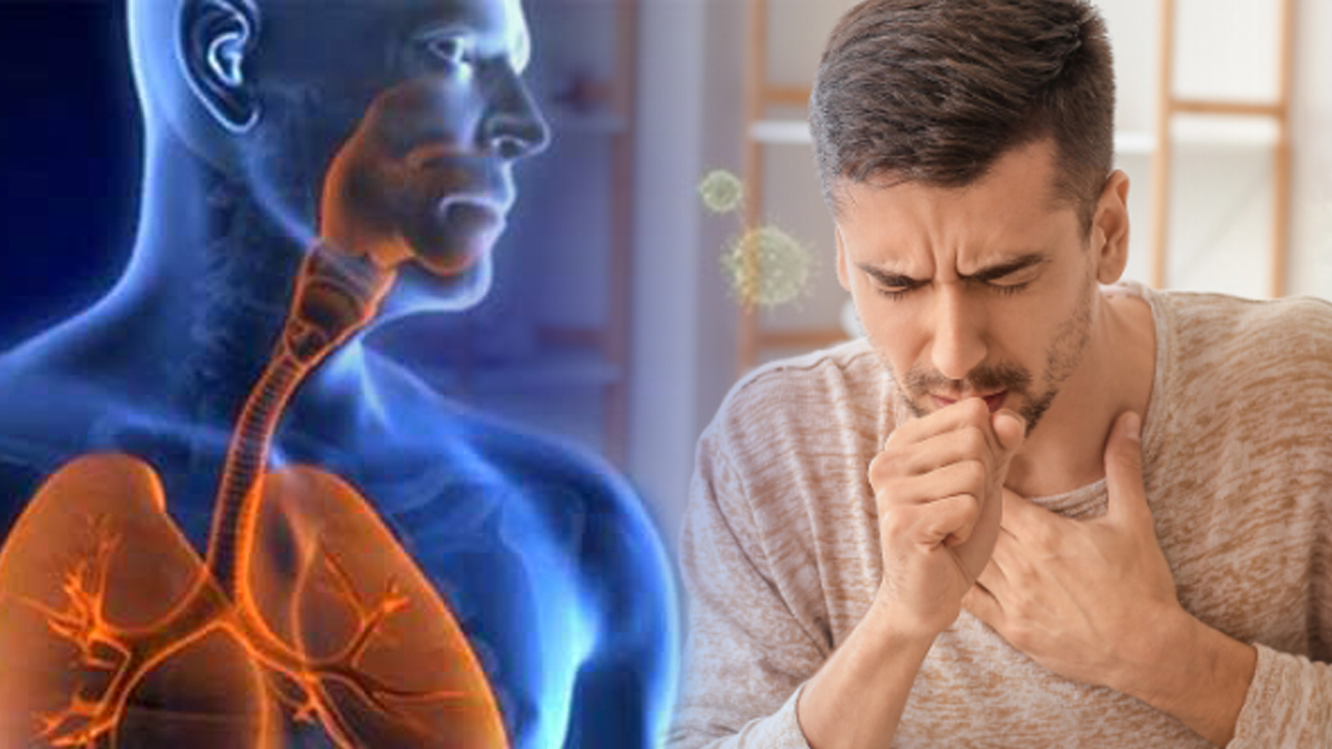 «Σοκ: Υψηλά ποσοστά θνησιμότητας από πνευμονικές λοιμώξεις στην Ελλάδα – Οι αλήθειες που πρέπει να γνωρίζετε!» «Σοκ: Υψηλά ποσοστά θνησιμότητας από πνευμονικές λοιμώξεις στην Ελλάδα – Οι αλήθειες που πρέπει να γνωρίζετε!»