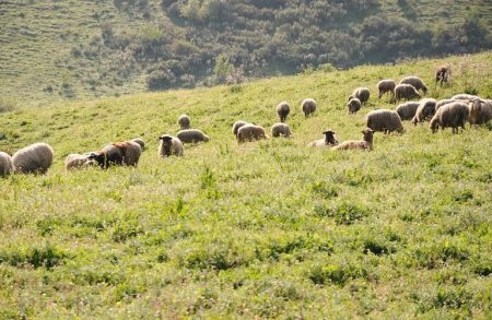 «ΣΟΚ! Αναρτήθηκαν οι πίνακες για την Εξισωτική Αποζημίωση 2025 – Ελέγξτε αν είστε δικαιούχοι!» «ΣΟΚ! Αναρτήθηκαν οι πίνακες για την Εξισωτική Αποζημίωση 2025 - Ελέγξτε αν είστε δικαιούχοι!»
