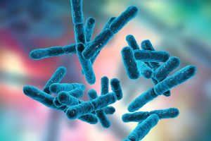 «Σοκ και Δέος: Πώς το Βακτήριο Fusobacterium Μπορεί να Προκαλέσει Αμυγδαλίτιδα, Πλευρική Αυχενική Λεμφαδενίτιδα και Πνευμονία!» «Σοκ και Δέος: Πώς το Βακτήριο Fusobacterium Μπορεί να Προκαλέσει Αμυγδαλίτιδα, Πλευρική Αυχενική Λεμφαδενίτιδα και Πνευμονία!»