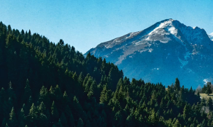 Ανακαλύψτε το Μέλλον του Ασπροποτάμου: Ημερίδα που Θα αλλάξει τα Δεδομένα για τις Ορεινές Περιοχές! Ανακαλύψτε το Μέλλον του Ασπροποτάμου: Ημερίδα που Θα αλλάξει τα Δεδομένα για τις Ορεινές Περιοχές!