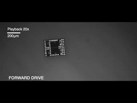 Το ρομπότ που χορεύει έχει το μέγεθος ενός κόκκου αλατιού Το ρομπότ που χορεύει έχει το μέγεθος ενός κόκκου αλατιού