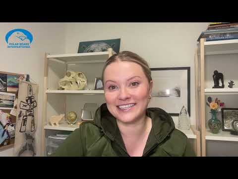 Μια σπάνια υιοθεσία πολικής αρκούδας θα μπορούσε να σώσει τη ζωή ενός μικρού Μια σπάνια υιοθεσία πολικής αρκούδας θα μπορούσε να σώσει τη ζωή ενός μικρού